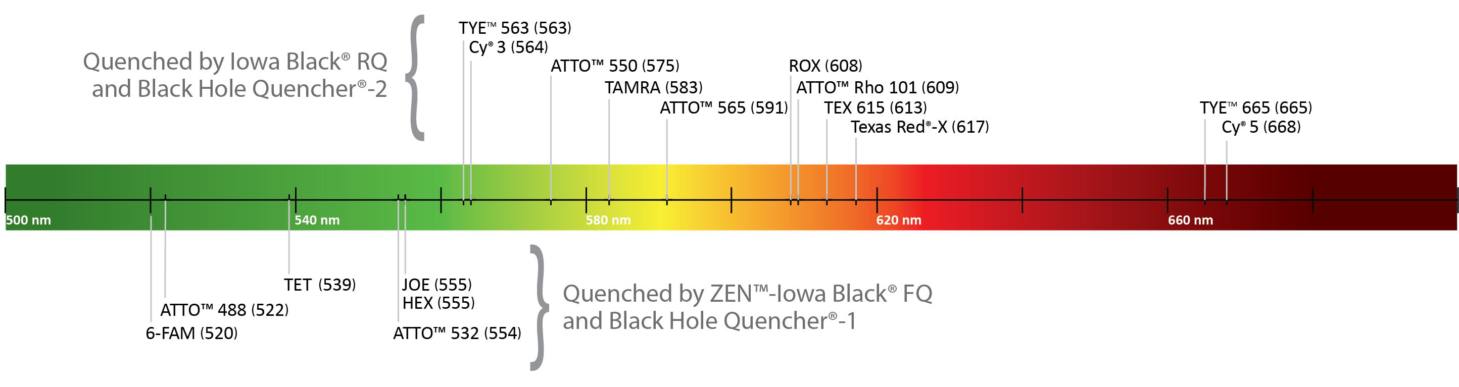 qPCR Probes—selecting the best reporter dye and quencher