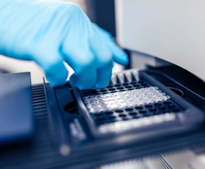 scientist loading pcr tubes into a pcr machine