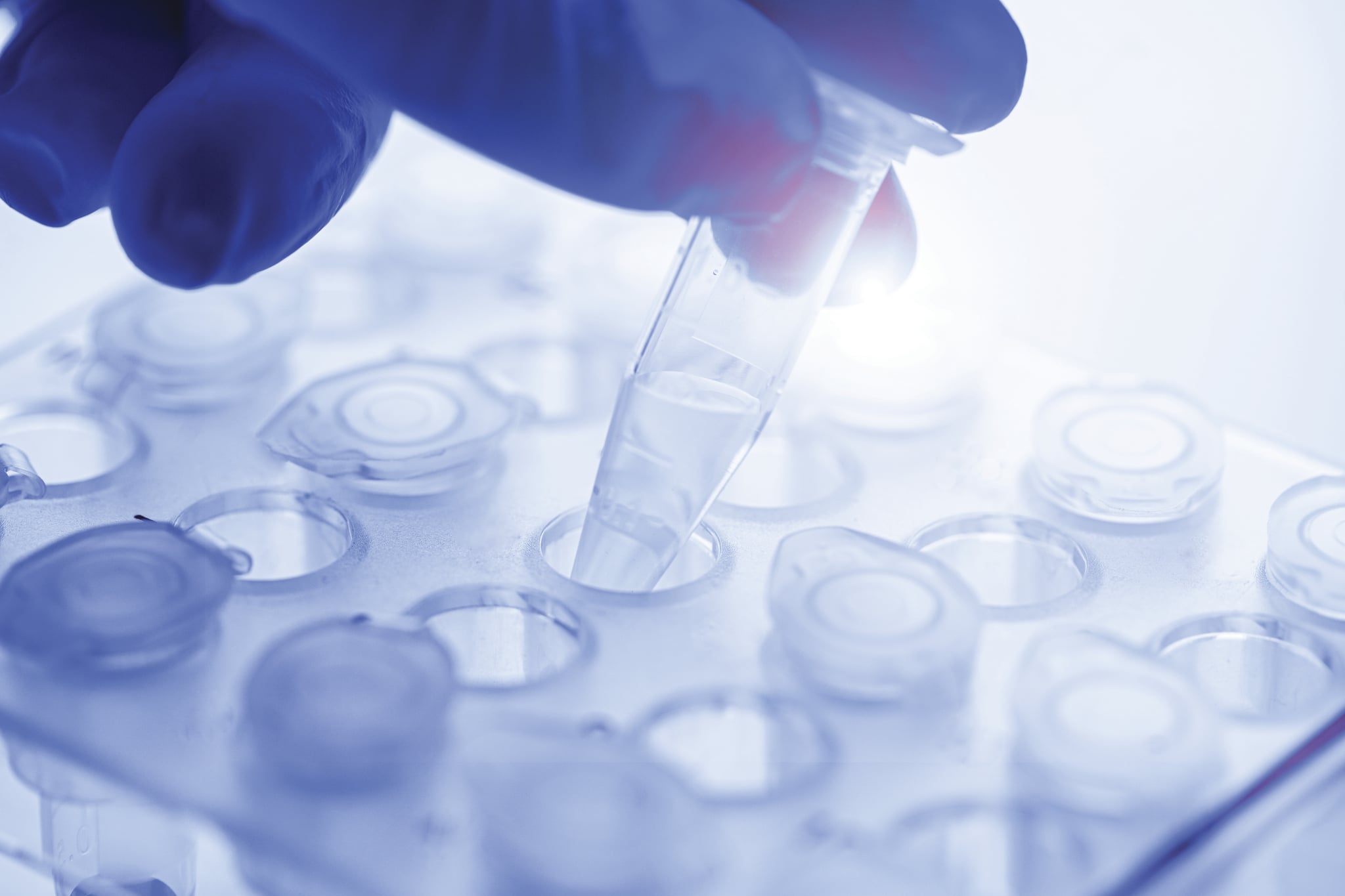 Rapid HPLC™ DNA Oligos