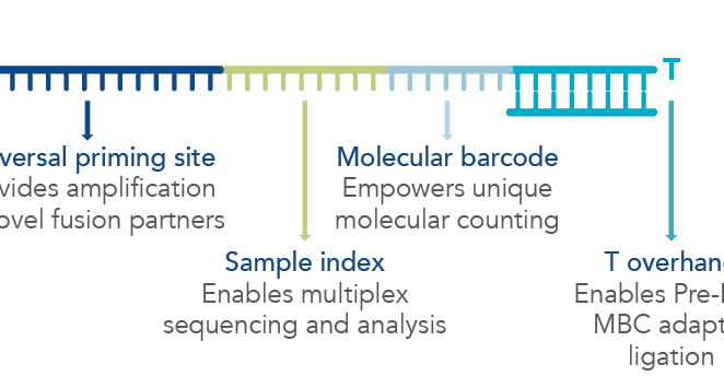 Confident identification with AMP