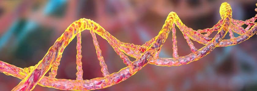 Genotype and phenotype: Definitions, similarities, and differences