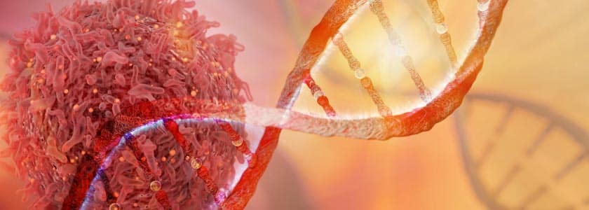 Prime editing, still new on the CRISPR scene, targets liver cancer
