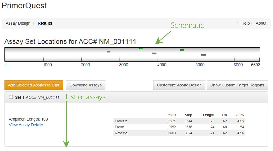 Design efficient PCR and qPCR primers and probes using online tools