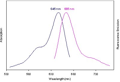 Absorbance and Fluorescence Emission